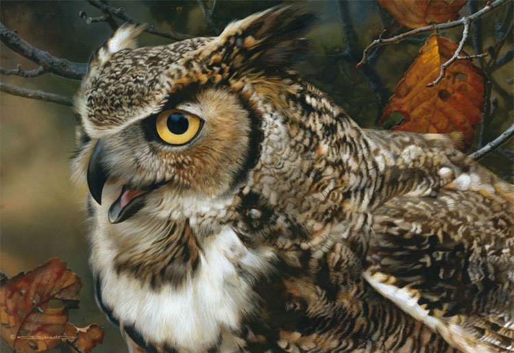 (image for) Handmade oil painting Copy paintings of famous artists Carl Brenders Paintings In Focus-Great Horned O - Click Image to Close